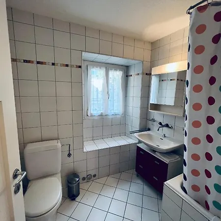 公寓 Brissago Lake Apartment