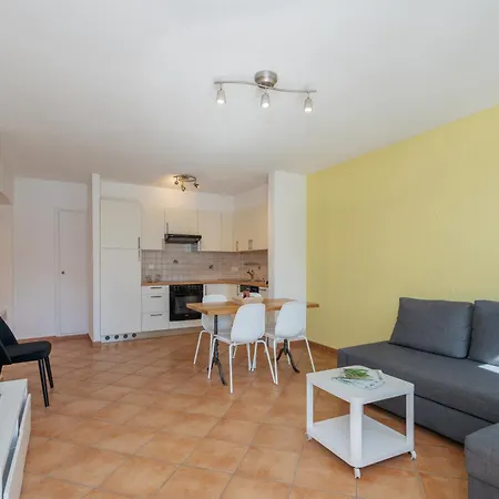 Brissago Lake Apartment 布里萨戈